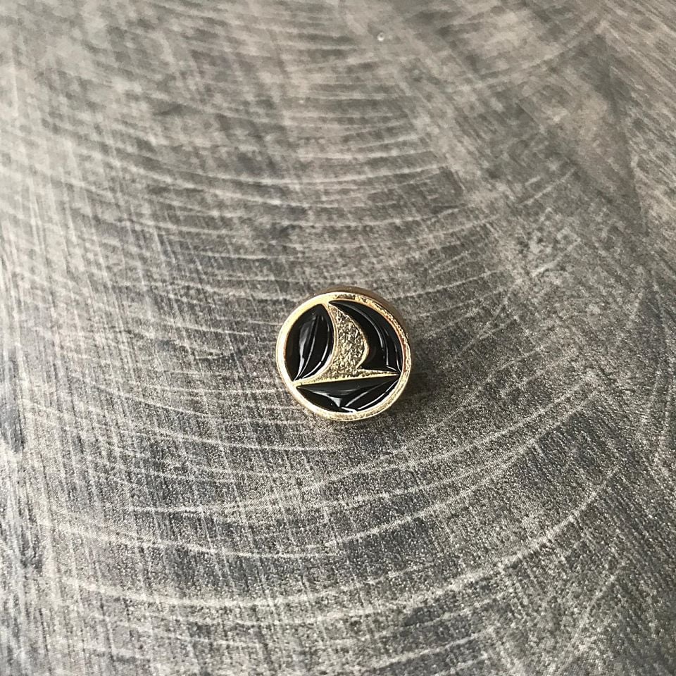 Türk Hava Yolları - Siyah zemin üzerine logo / Rozet