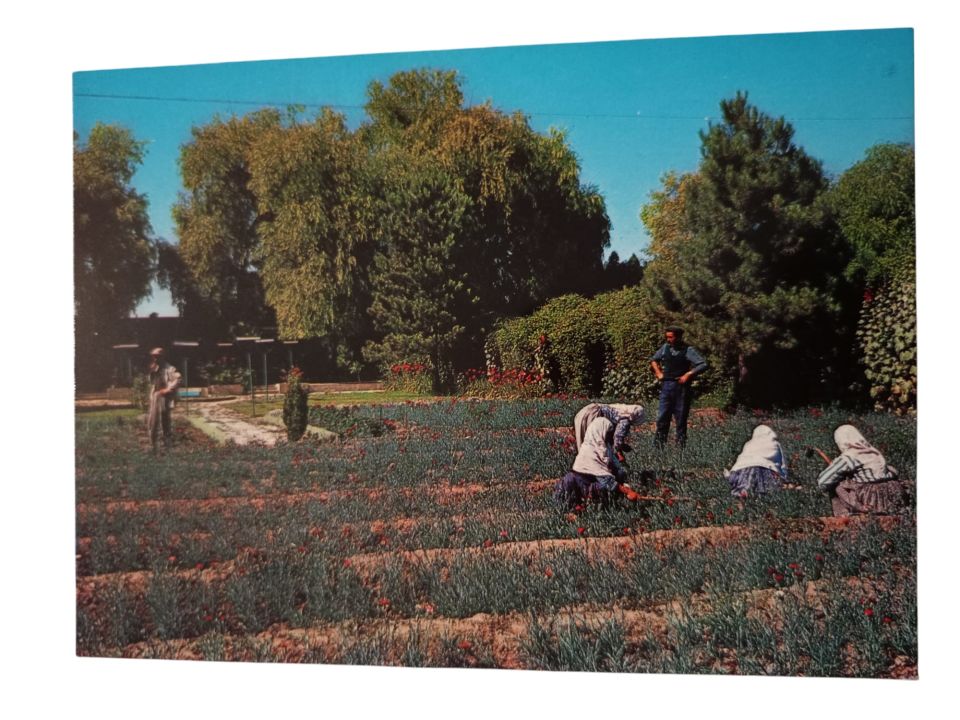 Eskişehir - 1970'li yıllara ait kartpostal / Arkası yazısız