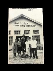 Bozdoğan Tarım Satış Kooperatifi - Fotoğraf