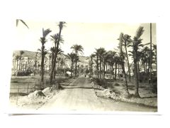 Bağdat Irak  / Kartpostal