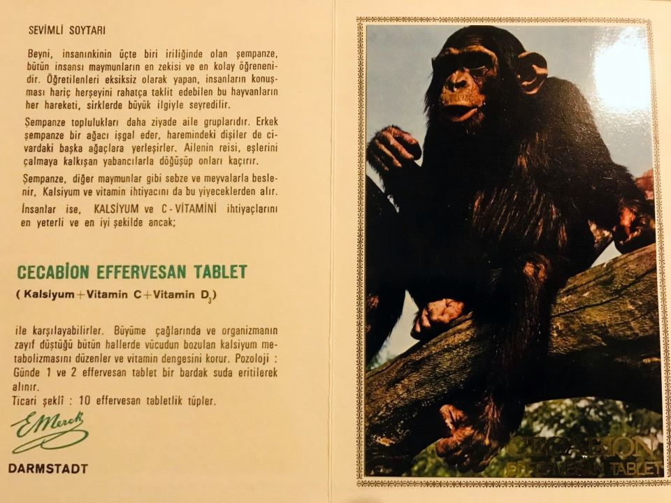 Cecabion Effervesan Tablet / E. Merck - Hayvanlar Serisi / Tanıtım broşürü