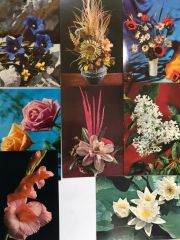Çiçekler - 8 adet kartpostal