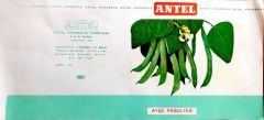 Ayşe Fasulyesi / Antel Konserve Fabrikası - 15x30 etiket - Efemera