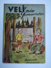 Velinin Yumurtaları / Bedrettin Danışman / Danışman Yayınları - Kitap