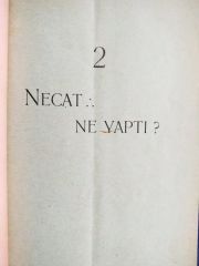 Necat ne yaptı 2 / Masonik yayın