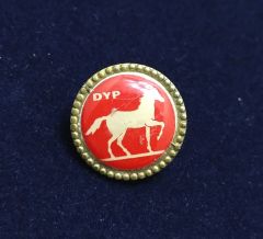 DYP Doğruyol Partisi - Akrilik rozet