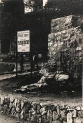 Gözlem Ajans - 15X22 Tiyatro afişli, fotoğraf - Fotoğraf sanatçısı; Melih