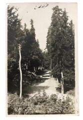 Trabzon - Fotokart