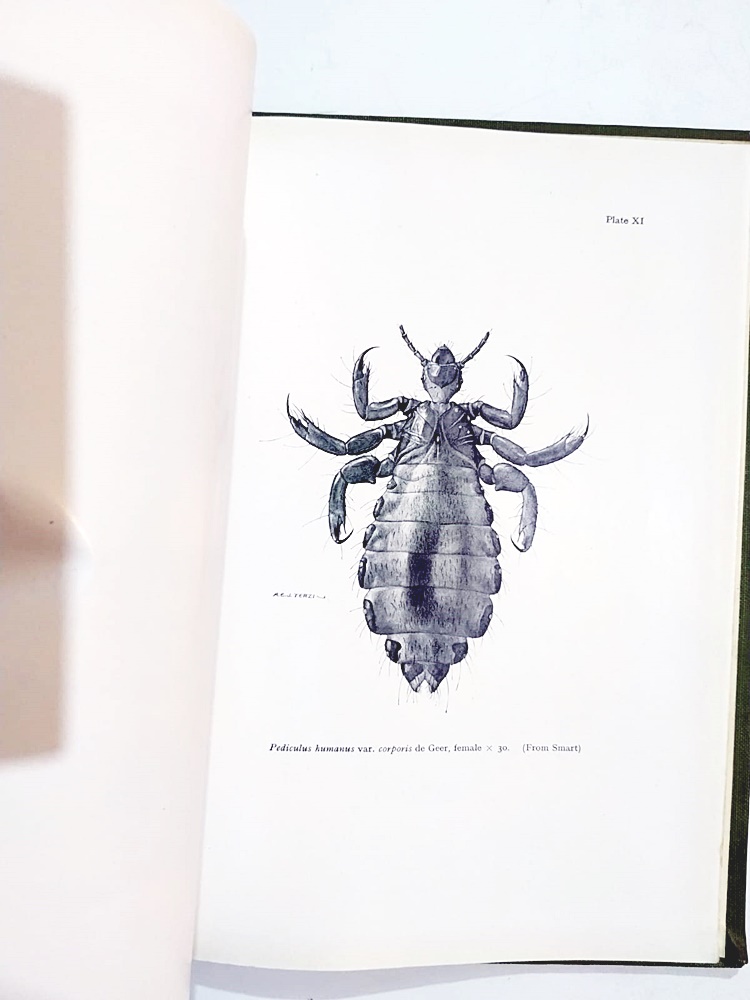 Insects Of Medical Importance / John SMART- Kitap