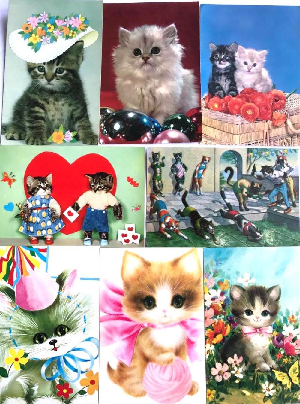 19 adet kedi kartpostalı