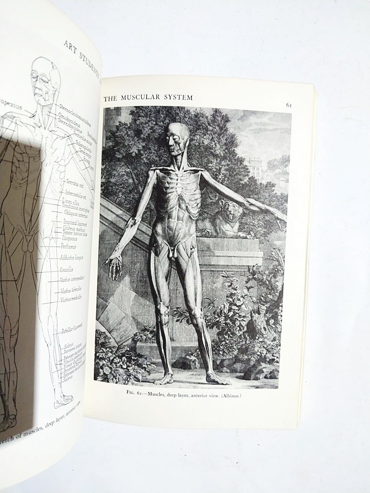 Art Students' Anatomy - Edmond J. FARRIS / Kitap