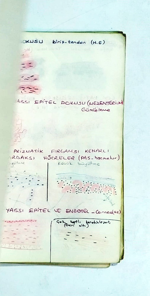 Histoloji Laboratuvar Defteri / İstanbul Tıp Fakültesi