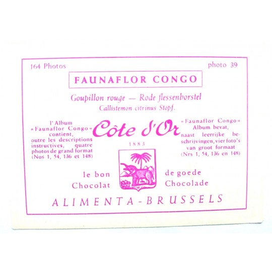 ÇİÇEKLER - Cote d'or le bon Chocolat / Faunaflor Congo II - Çikolata kertları / 3 adet