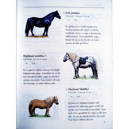 Gözlemcinin Rehberi / Atlar Çıkartma Kitabı - Kitap