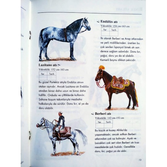 Gözlemcinin Rehberi / Atlar Çıkartma Kitabı - Kitap