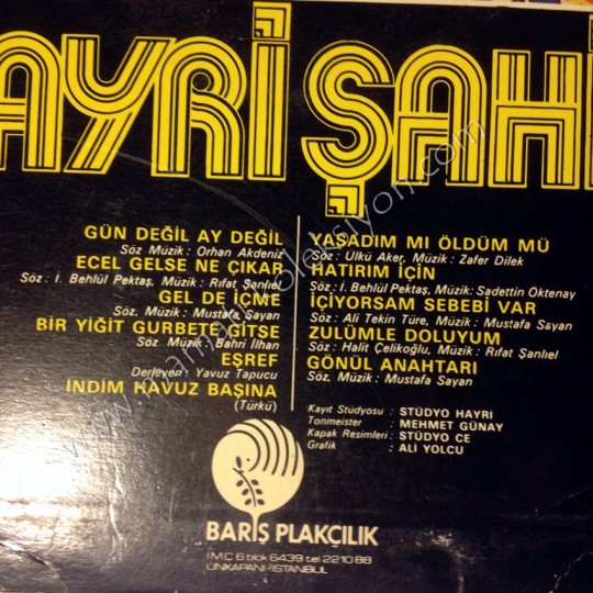 Hayri Şahin / Long play