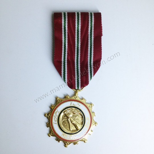 Irak mineli madalya - 