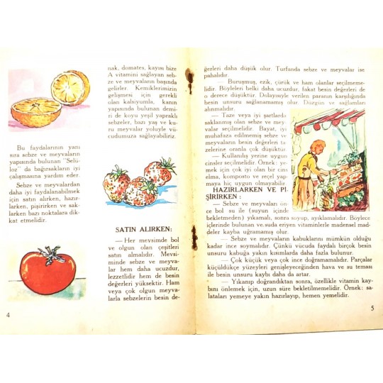 Sebzeler ve meyvalar - Milli Eğitim Bakanlığı / Kitap