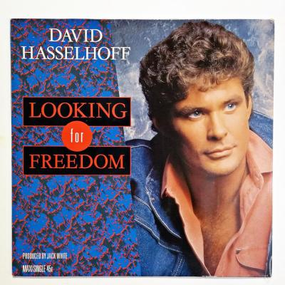 Looking For Freedom / David HASSELHOFF - Plak