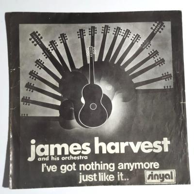 I've got nothing anymore just like it / James HARVEST and his orchestra - PLAK KAPAĞI
