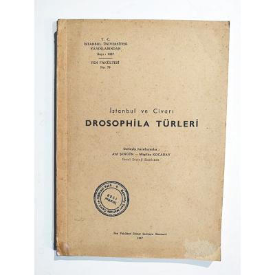 İstanbul ve çevresi Drosophila türleri - Kitap
