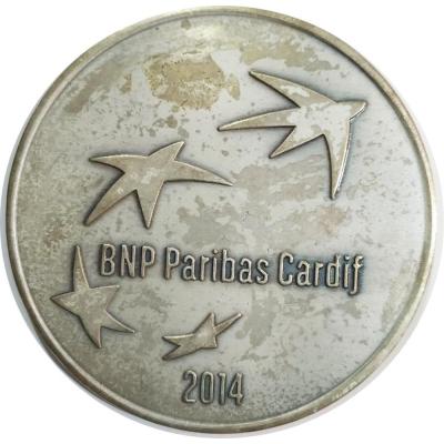 BNP Paribas Cardif 2014 - İster(sen) Başarırız
