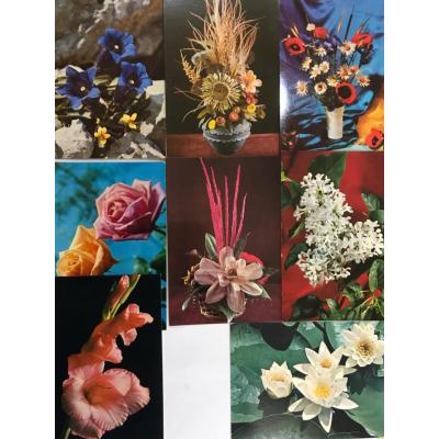 Çiçekler - 8 adet kartpostal