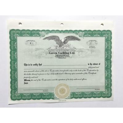 Guven Yahting Ltd. - Hisse senedi, sertifika