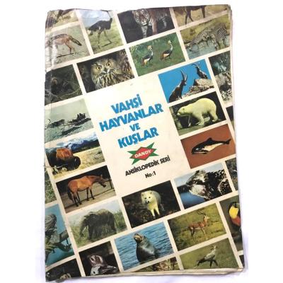 Vahşi Hayvanlar ve Kuşlar - Dandy Ansiklopedik Seri No:1
