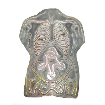İnsan vücudu - Anatomi / Çinko baskı klişesi